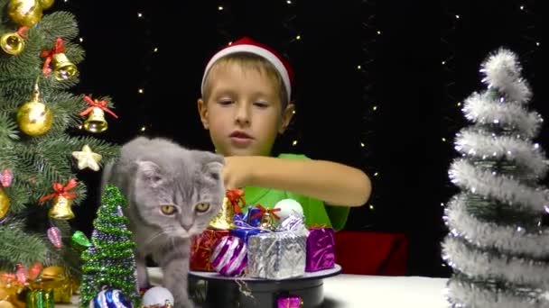 一只猫走近一个戴着圣诞老人帽子的男孩 — 图库视频影像
