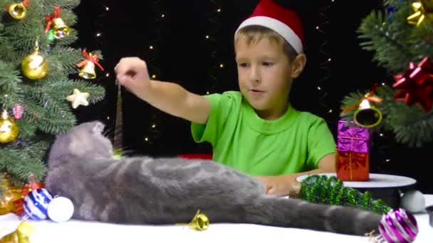Ένα Αγόρι Καπέλο Βασίλη Παίζει Μια Γάτα Μπάλα Της Πρωτοχρονιάς — Αρχείο Βίντεο
