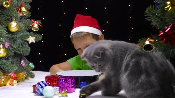 Кіт Грає Різдвяними Прикрасами Біля Хлопчика Капелюсі Діда Мороза — стокове відео