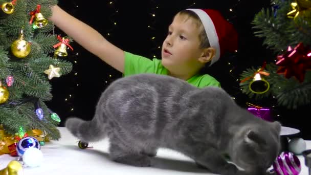 Netter Junge Mit Nikolausmütze Und Katze Spielt Der Nähe Geschmückter — Stockvideo