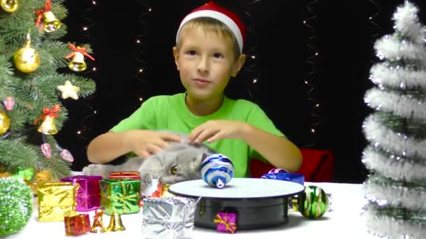 一个戴着圣诞老人帽子的孩子在接近分散的新年装饰品时抚摸着一只猫 — 图库视频影像