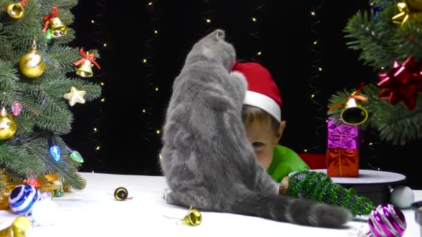 Lindo Chico Santa Claus Sombrero Jugando Con Gato Cerca Árboles — Vídeos de Stock