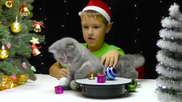 Ein Kind Mit Nikolausmütze Streichelt Eine Katze Der Nähe Verstreuter — Stockvideo