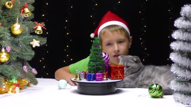 Παιδί Santa Claus Καπέλο Και Γάτα Κοντά Διακοσμημένη Περιστρεφόμενη Επιφάνεια — Αρχείο Βίντεο