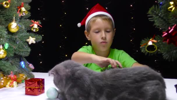 Ein Junge Mit Nikolausmütze Spielt Mit Einem Kleinen Weihnachtsbaum Und — Stockvideo