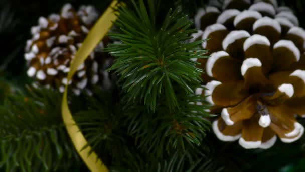 Noel Baba Nın Çam Kozalaklarıyla Süslenmiş Bir Noel Ağacının Yanında — Stok video