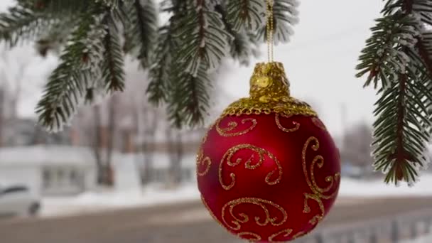 Κόκκινη Χριστουγεννιάτικη Μπάλα Ένα Ημι Θολό Φόντο — Αρχείο Βίντεο