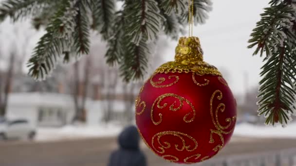 Karácsonyfaágon Egy Félig Elmosódott Háttérben Van Egy Piros Karácsonyi Labda — Stock videók