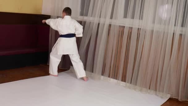 Mavi Kemerli Erkek Sporcu Resmi Karate Egzersizleri Yapıyor — Stok video