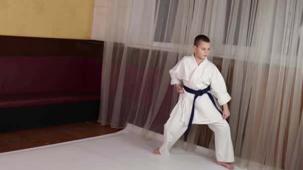 Atleet Met Blauwe Band Die Formele Karate Oefeningen Doet — Stockvideo