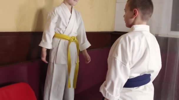 两名运动员男孩训练空手道练习 避免踢腿 — 图库视频影像