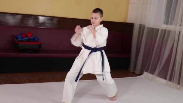 Mavi Kuşaklı Sporcu Resmi Karate Egzersizleri Yapıyor — Stok video