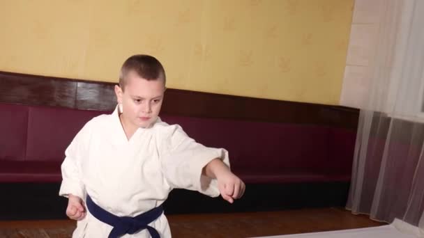 Fiú Atléta Kék Öves Vonatok Formális Karate Gyakorlatok — Stock videók