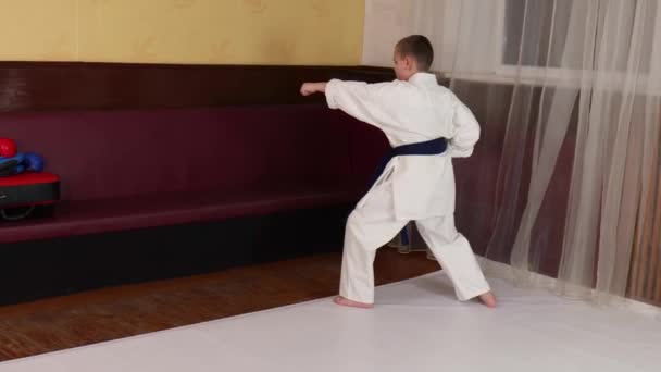 Jongen Atleet Met Blauwe Band Doet Formele Karate Oefeningen — Stockvideo