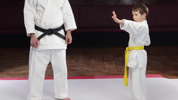 Little Athlete Yellow Belt Makes Punches Control Trainer Stock Video
