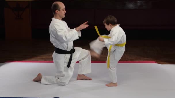 Little Athlete Yellow Belt Performs Kicks Trainer Palms Royalty Free Stock Footage