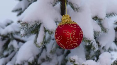 Kırmızı bir Noel topu, karla kaplı ağaç dallarının arka planına karşı ağırdır.