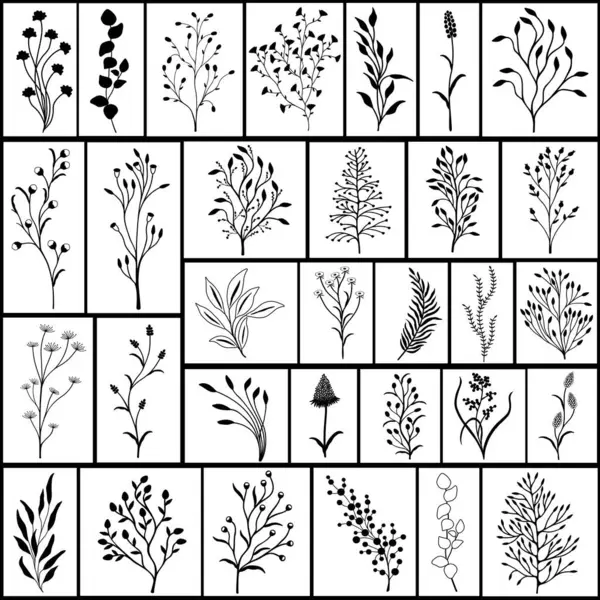 Collage Set Wild Plants Black White Illustration Vector Graphics