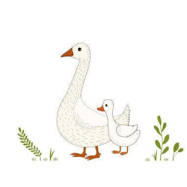 Çizgi film kazları ve alan grys beyaz arkaplanda kart