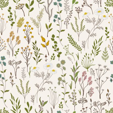 Kusursuz desen. Renkli yabani bitkiler seti.