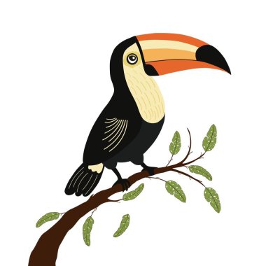 Bir dalın üzerinde şirin bir tukan çizimi.