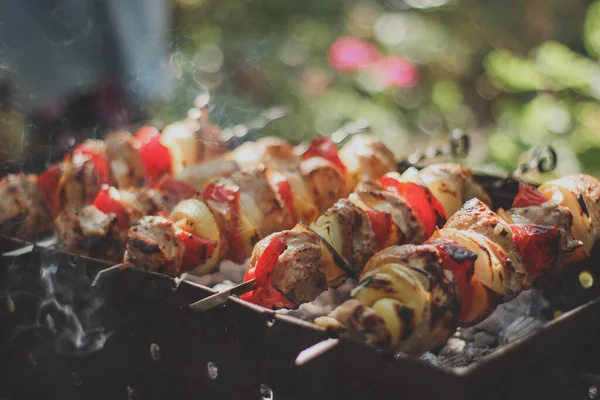 stock image meat with vegetables on the fire