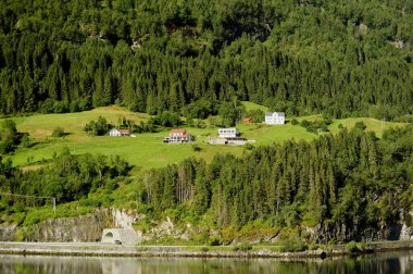 Norveç 'teki yol tünelinin üstündeki evler