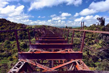 Tonariro Ulusal Parkı 'ndaki eski demiryolu köprüsü.