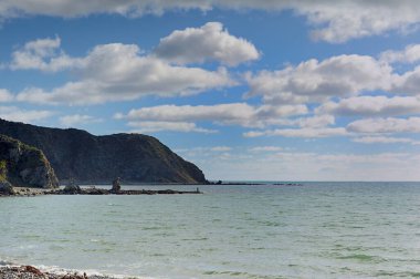 Makara Sahili Yeni Zelanda 'da tükürükte bir balıkçı.