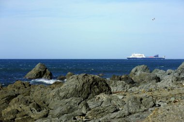 BlueBridge feribotu Owhiro Körfezi, Yeni Zelanda 'yı geçiyor.