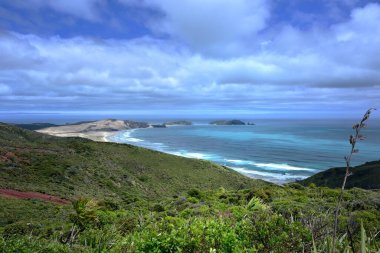 Cape Reinga 'nın kıvrımlı plajı, Yeni Zelanda