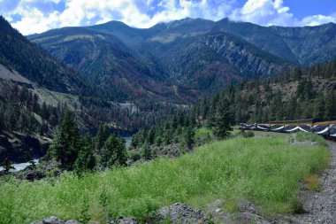 Thompson Nehri, Kanada - 21 Haziran 2023: Rocky Dağları 'nın vahşi doğasına doğru ilerleyen Rocky Dağları