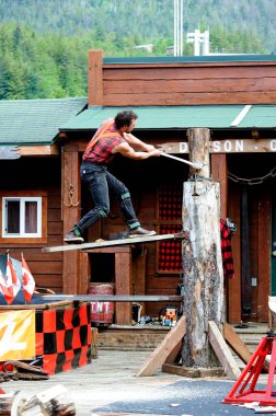 Ketchikan, Alaska, USA - 1st July 2023:Lumberjack on a temporary plank whilst cutting a tree clipart