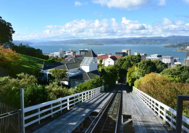 Wellington, Yeni Zelanda 'ya bakan kablo hattı.
