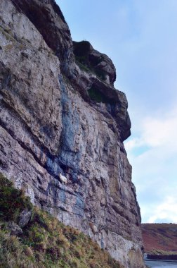 Kaşmirli Keçi, Büyük Orme, Galler 'in kayalıklarına tırmanıyor.