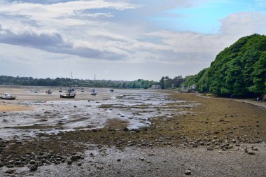 Red Wharf Körfezi, Anglesey, Galler - 21 Haziran 2025: alçak su yatında karaya vurmuş.