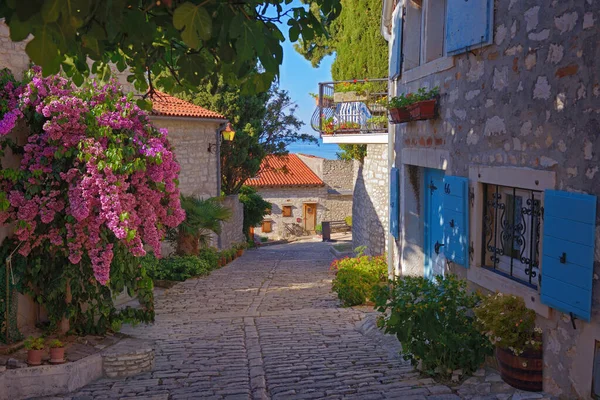 Street Rovinj Calm Colorful Building Facades Istria Rovinj Tourist Destination — ストック写真