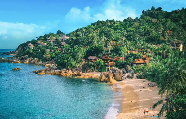 Panoramisch Zicht Tropisch Strand Met Coconut Palmbomen Koh Samui Thailand Stockafbeelding