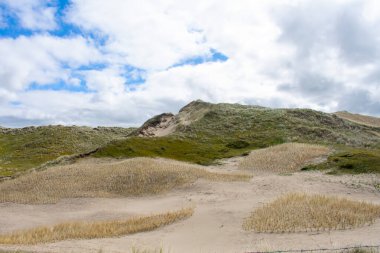 Molecaten Park Noordduinen 'deki Noordholland doğa koruma alanında çimlerle kaplı kum tepeleri ve hafif bulutlu mavi bir gökyüzü.
