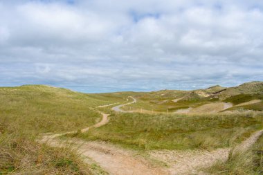 Kum tepelerini, çimenleri ve güneşli havalarda yolları biraz bulutlu bir gökyüzü ile Molecaten Park Noordduinen 'deki Noordholland doğa rezervlerini izleyin.