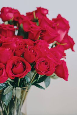 Sevgililer Günü için vazoda kırmızı güller. Beyaz duvar. 