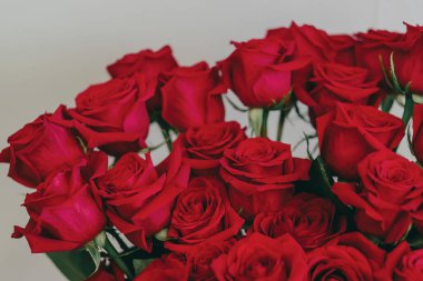 Sevgililer Günü için vazoda kırmızı güller. Beyaz duvar. 