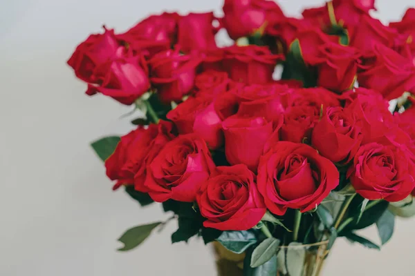 Sevgililer Günü Için Vazoda Kırmızı Güller Beyaz Duvar — Stok fotoğraf