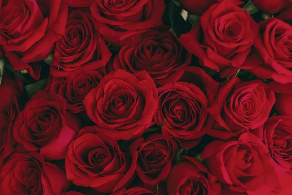 Красные Розы Вазе Подарок День Святого Валентина Белая Стена — стоковое фото