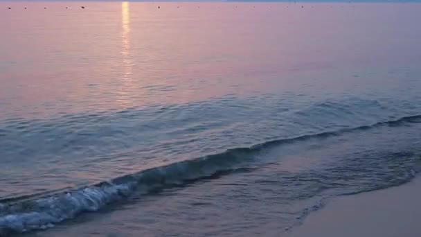 Caldo Tramonto Sul Mare Adriatico Zona Durazzo Spiaggia Del Golem — Video Stock