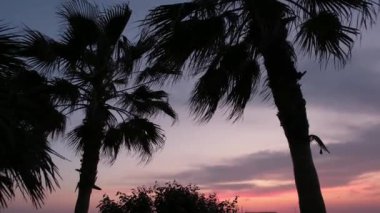 Arnavutluk 'un Durres kentinde Adriyatik Denizi üzerinde manzara gün batımı. Yüksek kalite 4k görüntü