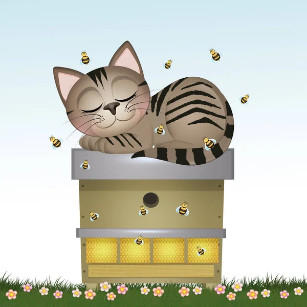 Illustratie Van Kitten Slaapt Bijenkorf — Stockfoto