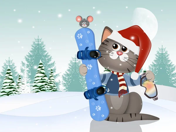 冬天带雪板的猫的图片 — 图库照片