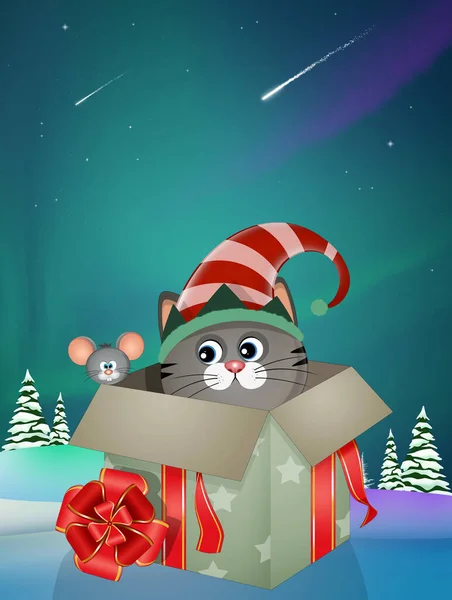 ギフトボックスに描かれたクリスマス子猫のイラスト — ストック写真