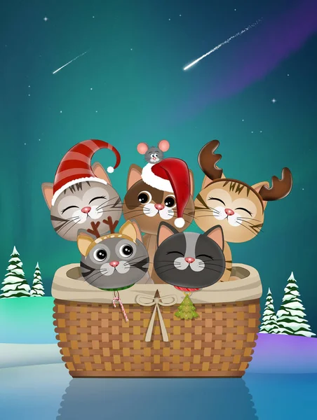 Illustration Kittens Christmas Basket — Stock Photo, Image
